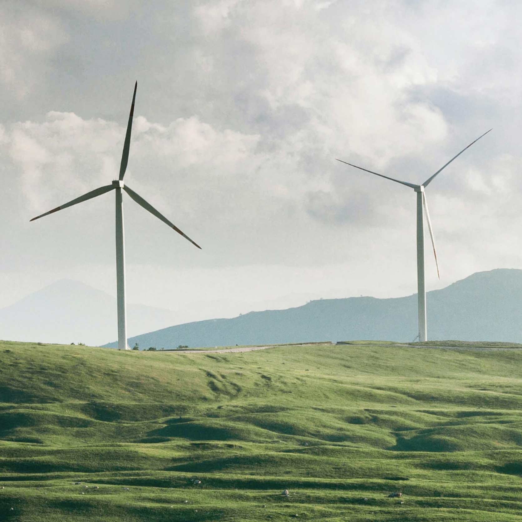 Wind Turbines in Field 2 Wind Turbines in Field 2